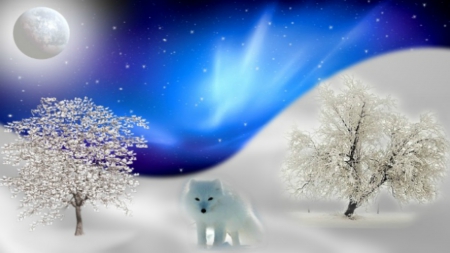 ~*~ Winter Time! ~*~ - sonw, white fox, full moon, winter, northem lights