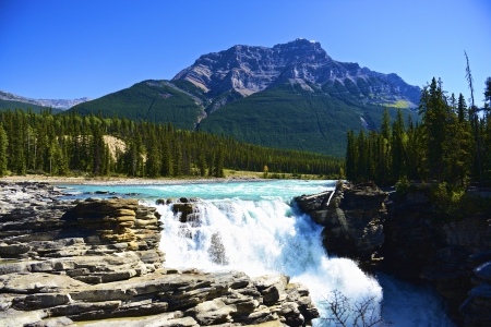 Athabasca Falls, Canada - falls, landscape, mountain, trees, water