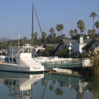 Nice Backyard (Ventura, Ca.)