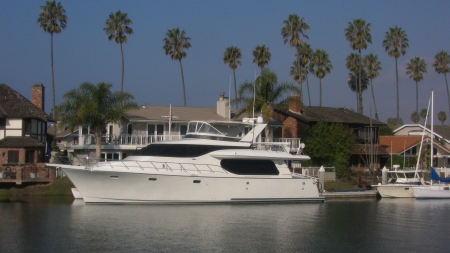 Nice Backyard (Ventura, Ca.) - Reflections, California, Palmtrees, Homes, Boats, Ventura