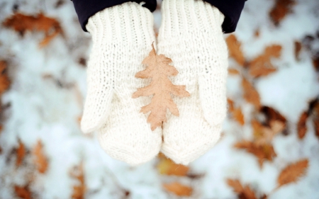 The Last Leaf - hands, autumn, photography, mitten, snow, leaf, leaves