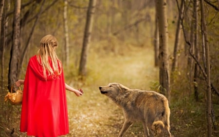 *** Red Hood and wolf *** - lady, girl, people, animals, hood, wolf, nature, wolves, forest, red, animal, woolf