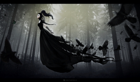 Lady of the crows