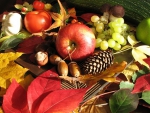 Autumn Fruit