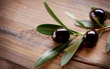 Olive - olive, nature, oil, food, fruit