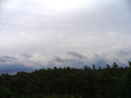 View over the Forest - nature, view, sky, forest, clouds