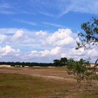 Shifting sand areas in the Netherlands #5