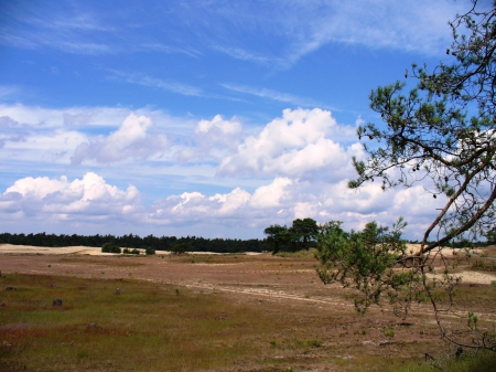 Shifting sand areas in the Netherlands #5 - nature, sky, clouds, shiftking, sand