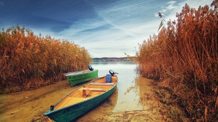 boats on shore of lake bodensee germany - lake, reeds, boats, shore