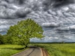 countryside road hdr