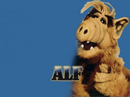 Alf - series, tv, alf, movie