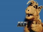 Alf