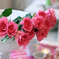 Pink Roses