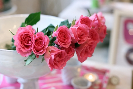 Pink Roses - flowers, romantic, roses, pink