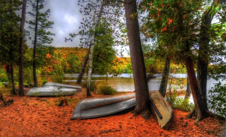 Boats and trees - nice, season, sky, carpet, autumn, trees, colorful, foliage, calm, fall, quiet, river, abandoned, pond, boat, lake, falling, shore, place, lovely, serenity, nature, beautiful, leaves