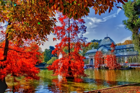 November - Madrid - nice, autumn, colorful, mirrored, shine, foliage, fall, pretty, reflection, tree, golden, branches, falling, lovely, nature, glow, beautiful, leaves, november, colors