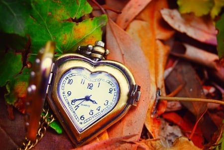 Time... - fall, autumn, clock, leaves, time, autumn splendor