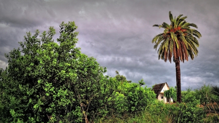 little chapel in the tropics - palm, jungle, clouds, chapel