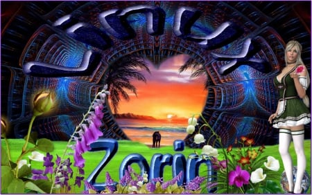 Zorin Linux - v, x, b, c