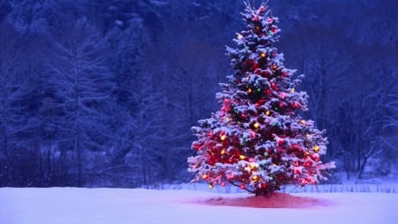 Christmas Tree - snow, colors, decoration, lights