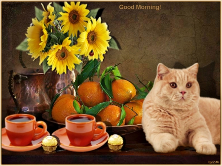 good morning - morning, coffee, cat, flowers, still life