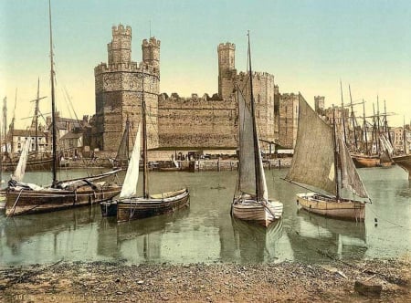 Caernarvon Castle in Wales in the Late 1890s - photograph, british, historical, wales, color