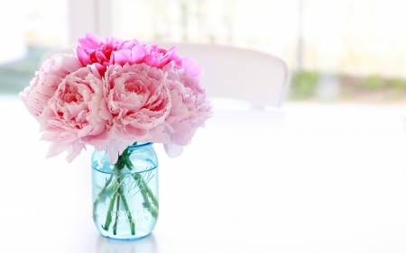 Flowers - vase, peonies, chair, jar, pink, blue, table, flowers, pot