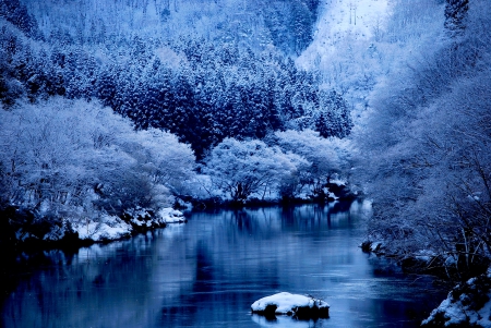 WINTER RIVER - nature, season, forest, snow, river, winter