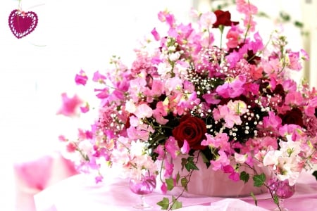 SOFT DELIACIES - nature, flowers, arrangement, pink