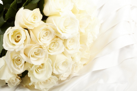 Beautiful White Roses! - flowers, roses, white, nature, beautiful