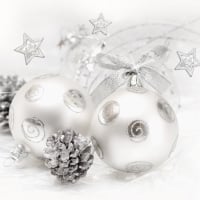 Silver Christmas