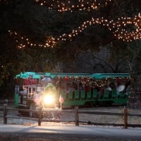 Christmas Train