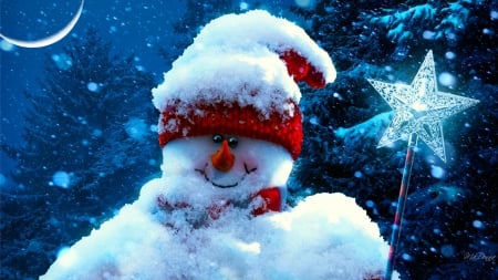 Snowy Snowman - winter, cute, happy, snowman, christmas, holiday, star, snow, whimsical