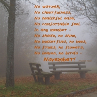 â™¥ November â™¥