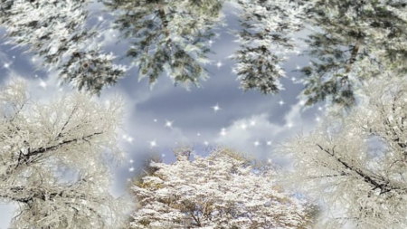 ~*~ Snowfall ~*~ - sonow day, winter, Snowfall, winter season, preciptation, snow season