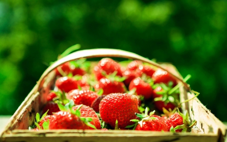 Strawberries - strawberry, strawberries, healthy, fruits, food, basket, photo