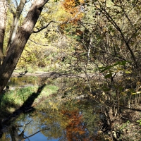 Audrey Mulligan's Park