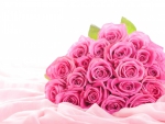 pink roses