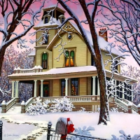 Winter house