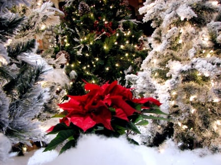 MERRY CHRISTMAS - flowers, christmas, winter, decoration, snow, tree