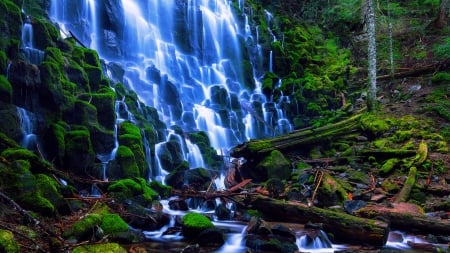 awesome ramona falls in oregon hdr - moss, rocks, waterfall, cascade, hdr, logs