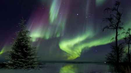 ~*~ Northem Light ~*~ - aurora borealis, lights, nature, northem light