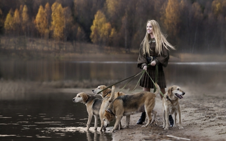 *** Girl with dogs *** - animal, animals, dogs, girl, dog