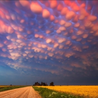 Cotton Candy Nebraska Sky