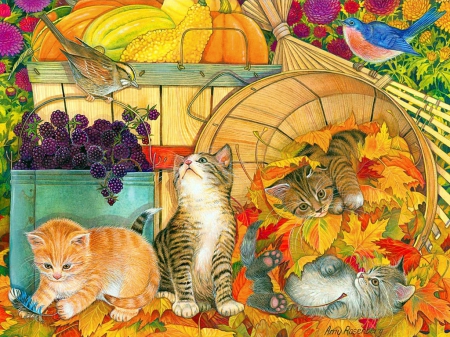 Harvest kittens - fluffy, colorful, feline, pumpkins, harvest, art, artwork, garden, birds, berries, adoprable, beautiful, animal, leaves, sweet, friends, wide screen, season, nice, autumn, aurtumn, kittens, basket, foliage, kitties, painting, fall, pretty, cute, rden, plenty, cat, fruits, vegetables, pet, playing, lovely, avian, cats