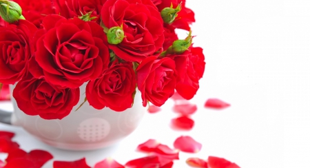 * Roses for Andonia * - flowers, roses, red roses, petals, bouquet