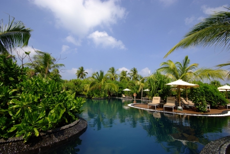 Lovely Green & Lush Swimming Pool - luxury, trees, pacific, island, polynesia, luxurious, palm, islands, tropical, swimming, pool, exotic, paradise, south