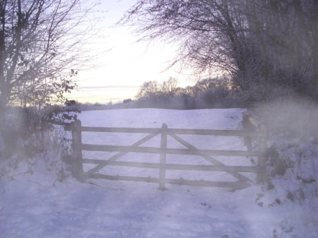 Misty Winter - winter, cold, gate, misty