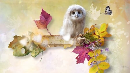 Glowing Autumn Bright - bird, heart, aspen, leaves, owl, fall, glow, birch, autumn, butterfly, shine