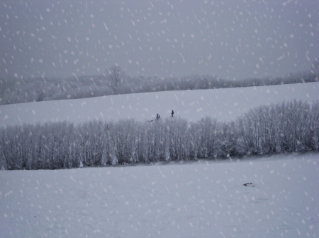 Snow Time - snow, children, winter, playing